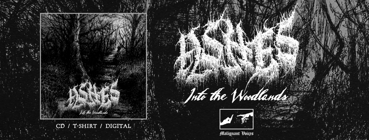 ASHES INTO THE WOODLANDS
